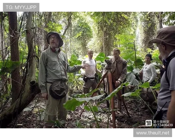 为何麦迪逊长期被低估？他的真实价值是什么