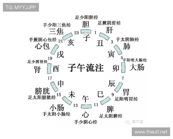 篮球半场和全场计时规则解析，掌握精准时间控制